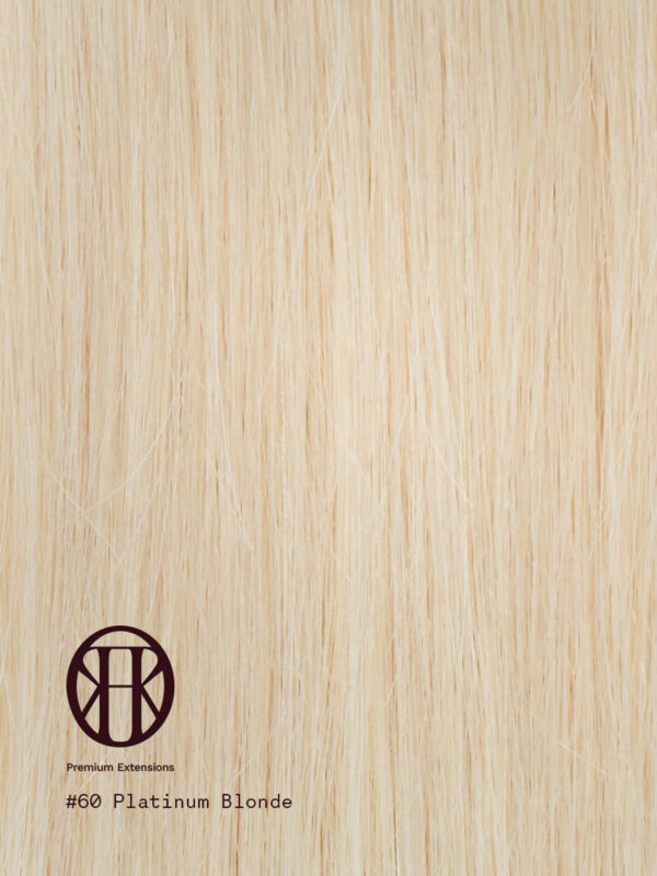 Platinum blonde hair extensions #60